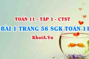 Bài 1 trang 56 SGK Toán 11 Tập 1 Chân trời sáng tạo